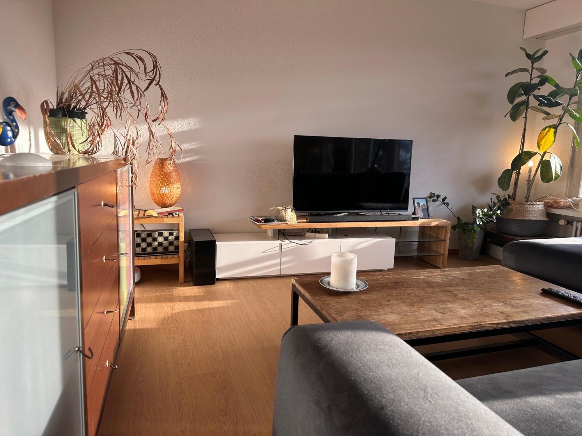 Lovely Room, 15 Min From Center, Mountain View Ζυρίχη Εξωτερικό φωτογραφία